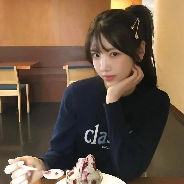 双子星大冒险国语